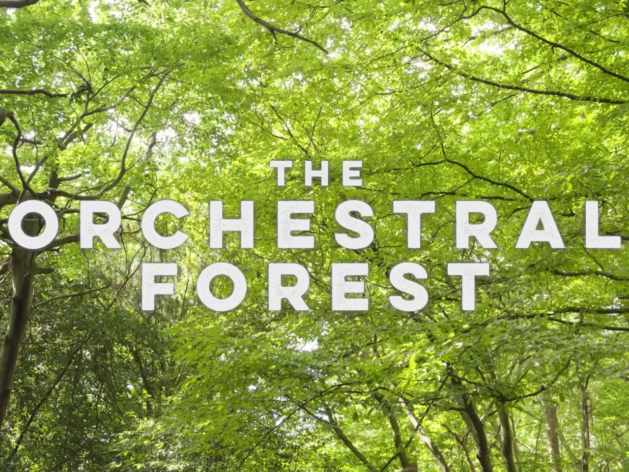 #ConcertLab | The Orchestral Forest | Official Trailer