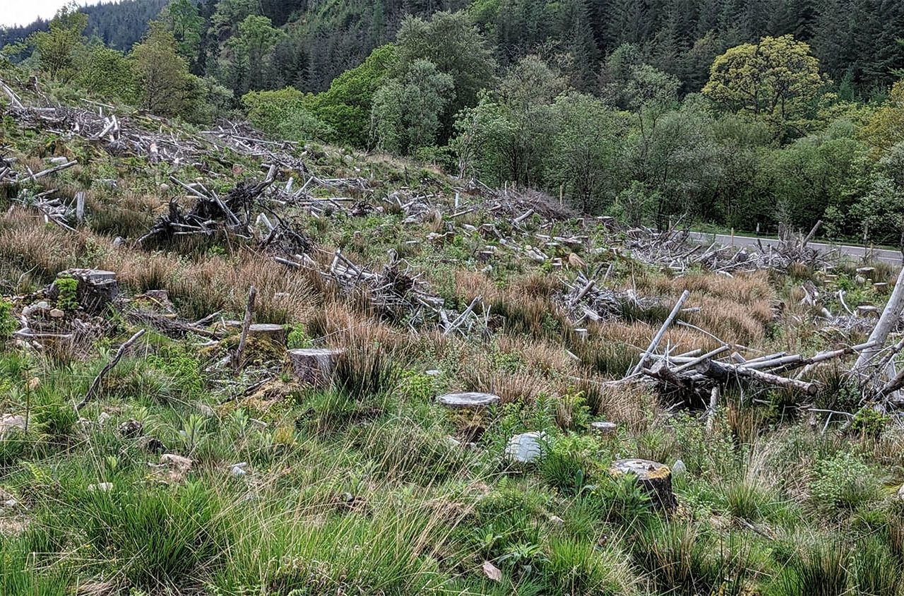 A clear felled forest in Argyll, Scotland.